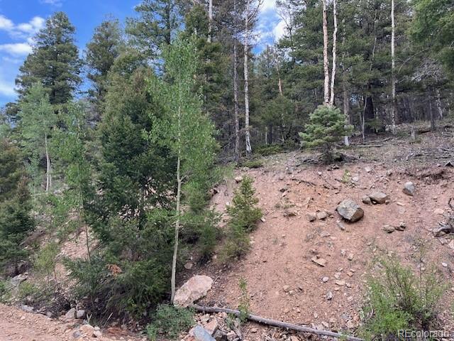 Lot 6184 Ryland Road San Luis, CO 81152 - Photo 3 of 32 a view of a forest with trees