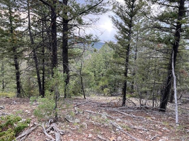 Lot 6184 Ryland Road San Luis, CO 81152 - Photo 9 of 32 a view of a forest filled with trees