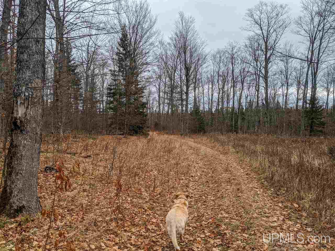 11851 Co Road Cornell, MI 49818 - Photo 48 of 49
