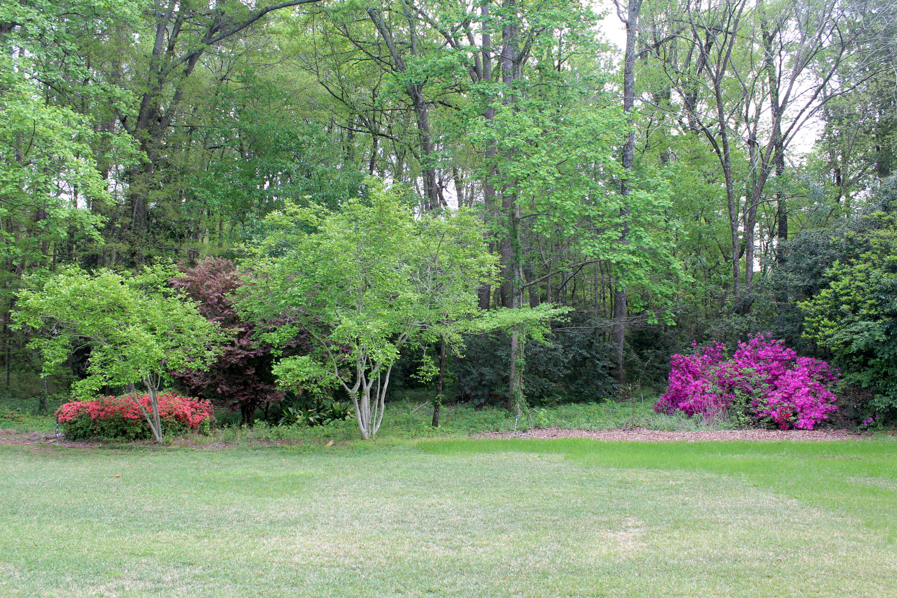 150 Springlakes Drive Augusta, GA 30907 - Photo 65 of 68 IMG_0952