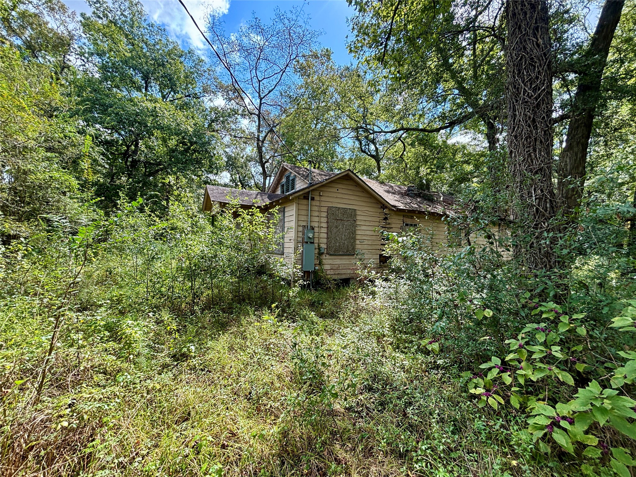 8560 County Line Road Willis, TX 77378 - Photo 2 of 18 Gallery Image 2