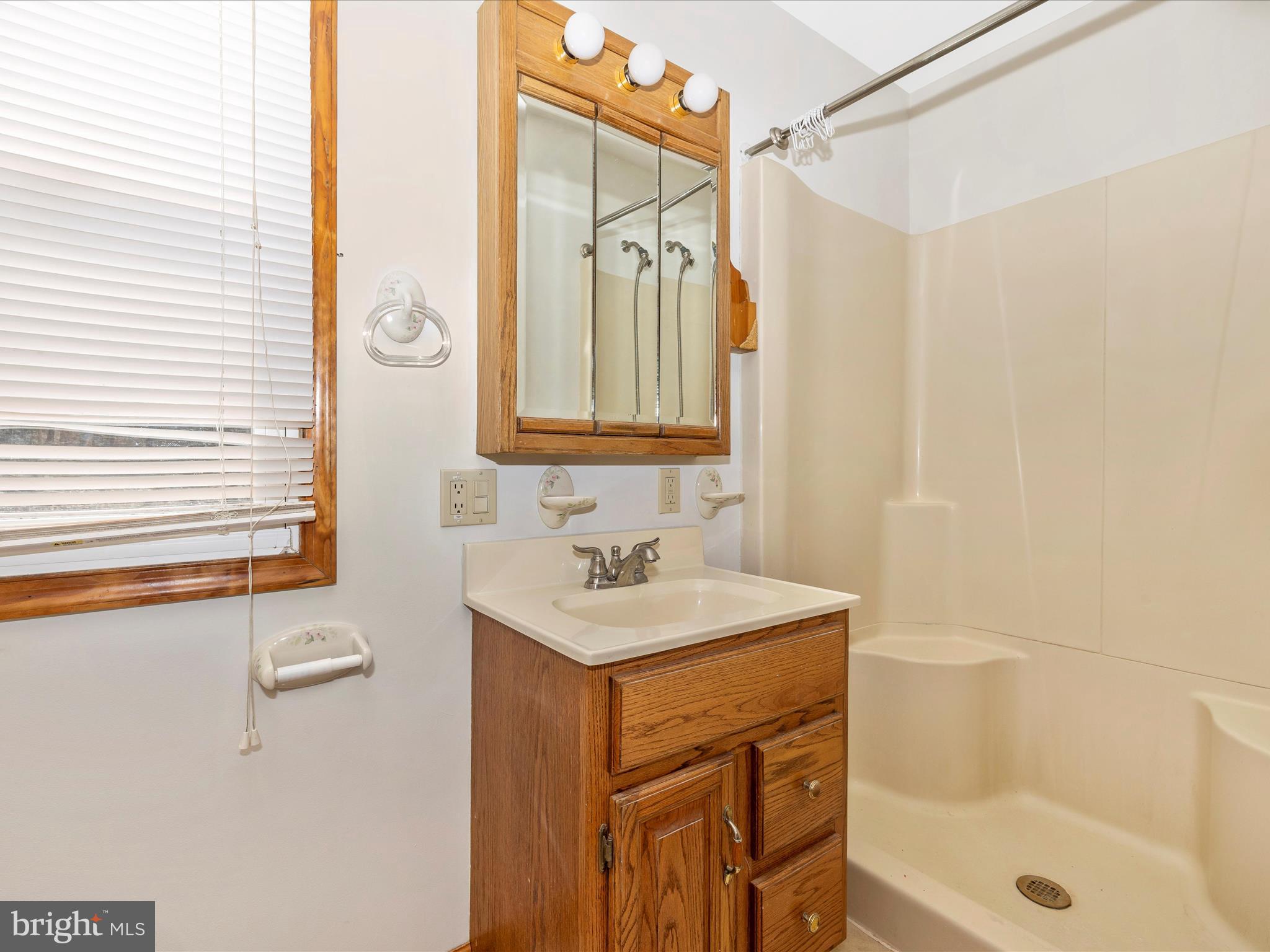 4439 John Draper Road Smithsburg, MD 21783 - Photo 34 of 63 a bathroom with a sink a mirror and a bathtub