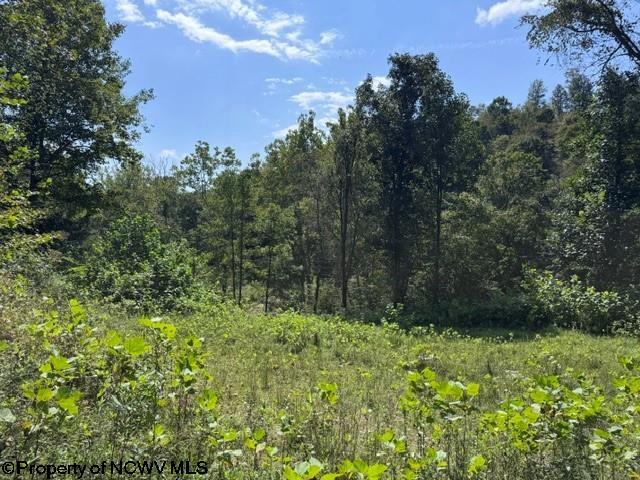 Tbd Hagans Road Rivesville, WV 26588 - Photo 1 of 21 Gallery Image 1