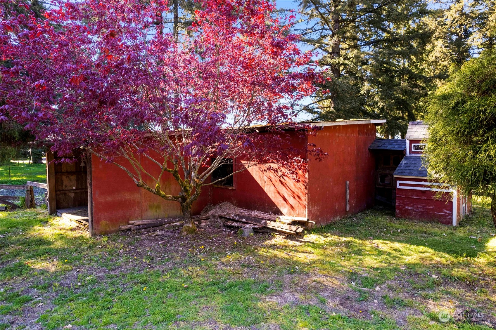 18441 Elaine Court Southwest Rochester, WA 98579 - Photo 26 of 30 a view of backyard with large tree and wooden fence