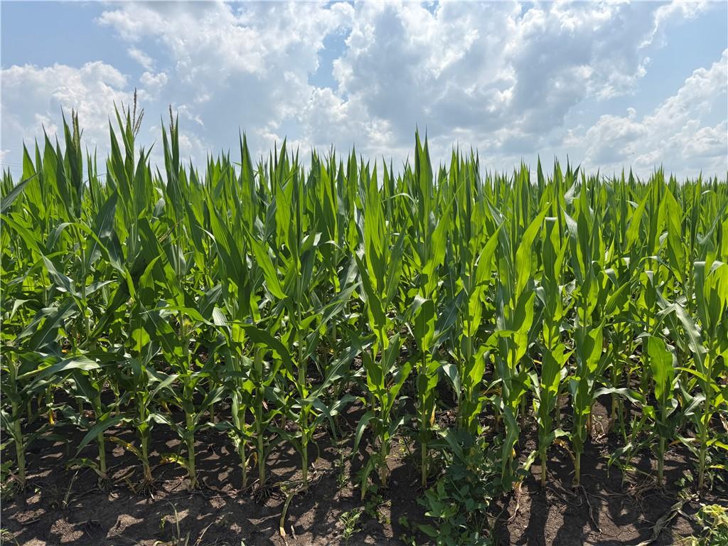 0 South Fairlawn Road Wakarusa, KS 66546 - Photo 40 of 72