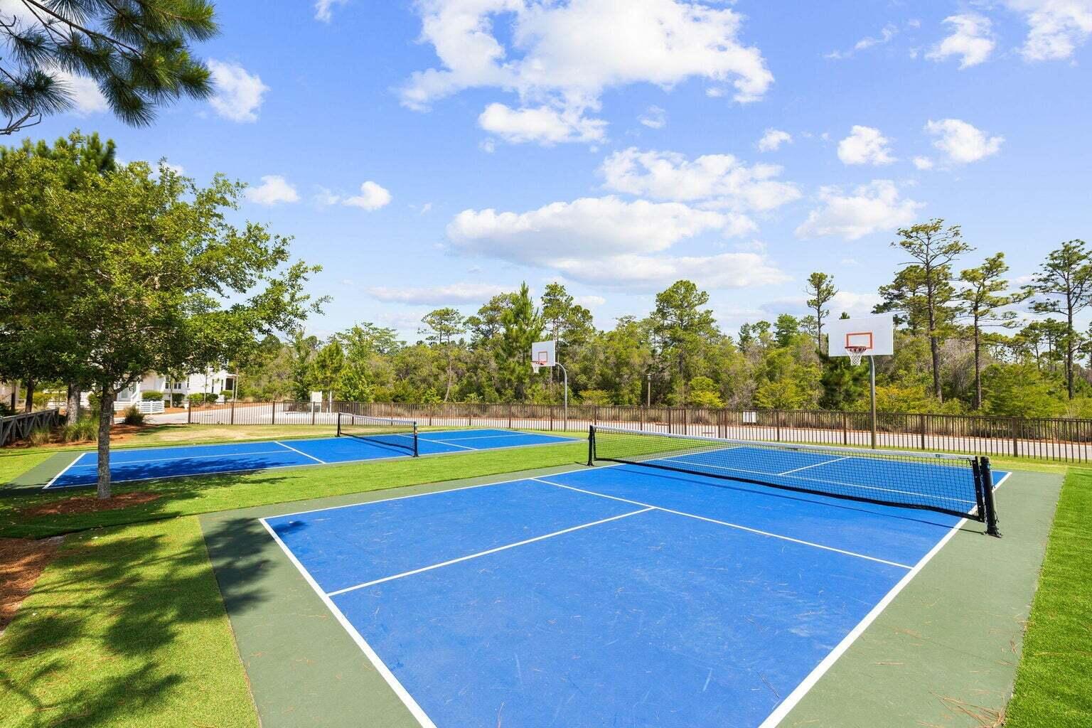 205 Flatwoods Forest Loop Santa Rosa Beach, FL 32459 - Photo 54 of 58 NW Basketball, Pickleball Courts