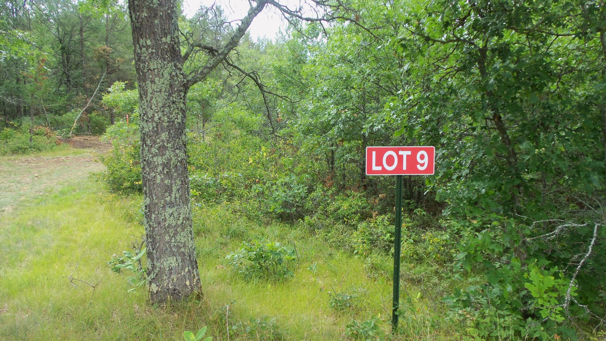 Lot 9 Ostrom Road Minong, WI 54859 - Photo 1 of 1 Gallery Image 1