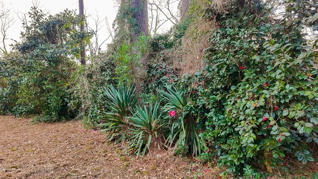 $340,000 | 202 Quaker Street, St. George, SC 29477