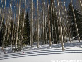 104 White Pine Canyon Road, Unit 87 Summit County, UT 84060 - Photo 1 of 1