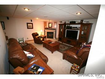 428 Wiegerstown Road O'Fallon, IL 62269 - Photo 16 of 24 Gallery Image 16