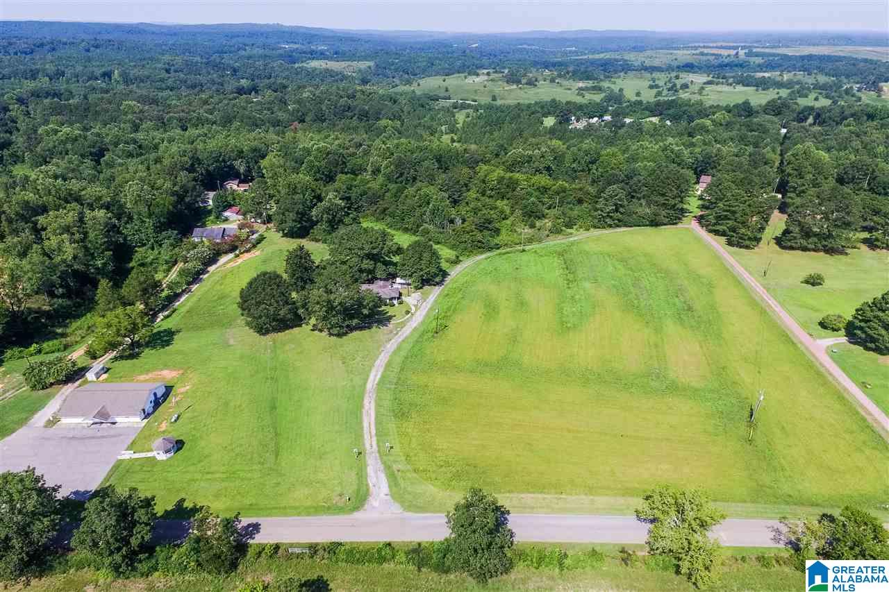 2381 Stella Lockard Road Empire, AL 35063 - Photo 40 of 43