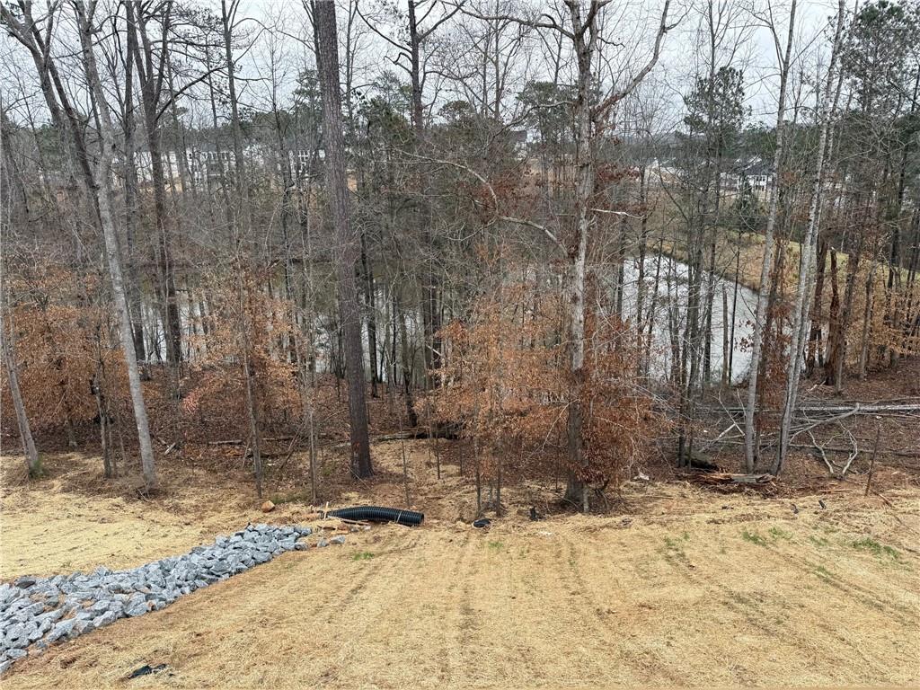1168 Ridgeview Road Woodstock, GA 30188 - Photo 17 of 17 a view of a backyard of the house