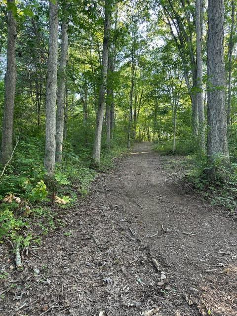 31514 Fairview Ridge Road Logan, OH 43138 - Photo 5 of 26 31514 fairview ridge 14