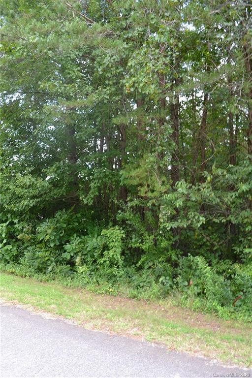 0 West View Acres Ave Extension Hickory, NC 28601 - Photo 1 of 4 a view of a yard with a tree
