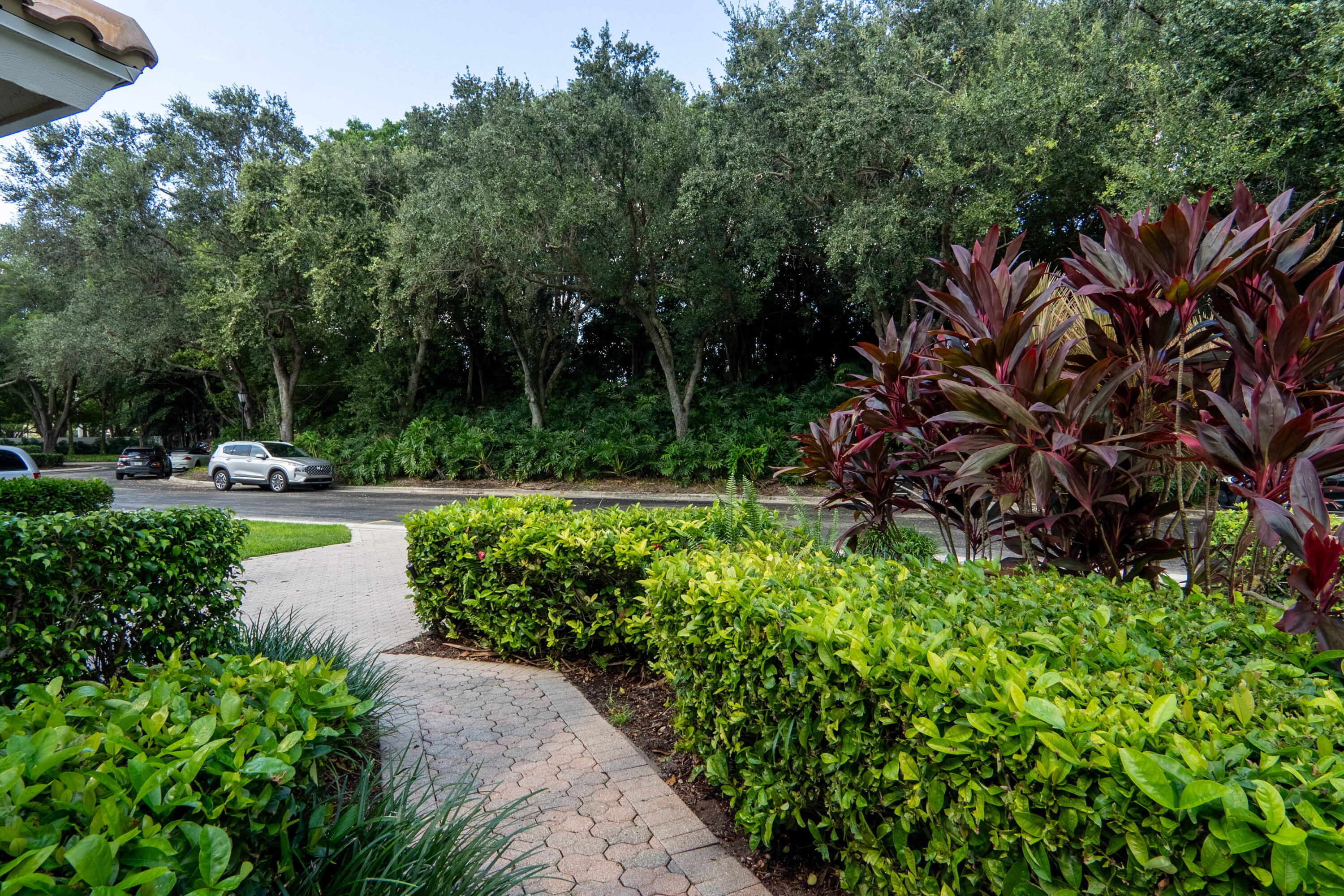 6670 Northwest 27th Avenue Boca Raton, FL 33496 - Photo 4 of 43 a view of a park with plants and trees