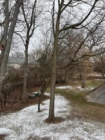a view of a bench in a yard