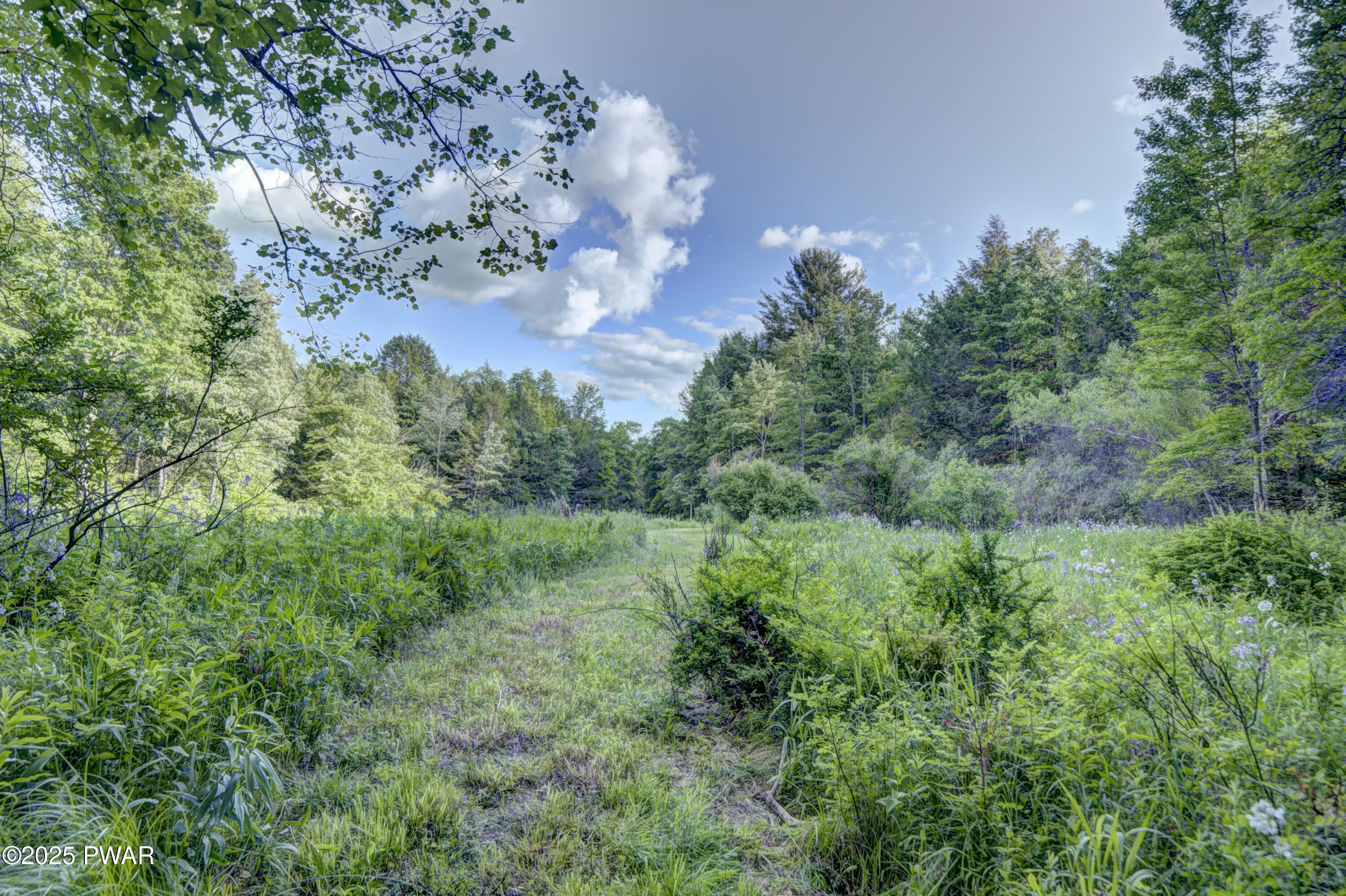 Gilpin Road Newfoundland, PA 18445 - Photo 21 of 53 Open fields