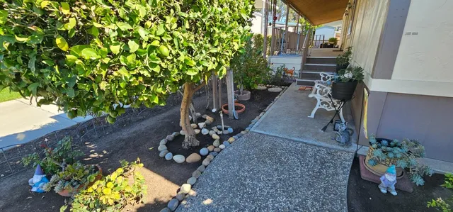 a view of a backyard with plants and a patio