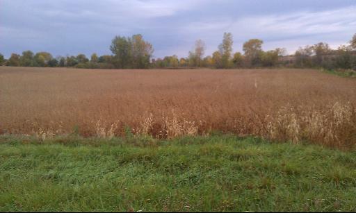1 North 21st Road Oglesby, IL 61370 - Photo 1 of 8