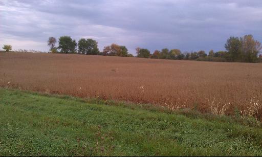 1 North 21st Road Oglesby, IL 61370 - Photo 2 of 8