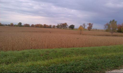 1 North 21st Road Oglesby, IL 61370 - Photo 4 of 8