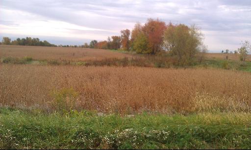 1 North 21st Road Oglesby, IL 61370 - Photo 5 of 8