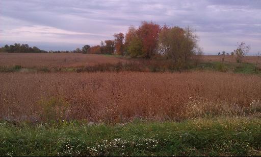 1 North 21st Road Oglesby, IL 61370 - Photo 6 of 8