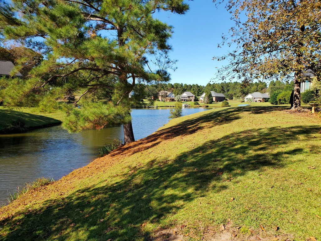 2 Ridge Lake Drive, Unit LOT 29 Manning, SC 29102 - Photo 10 of 25 Gallery Image 10