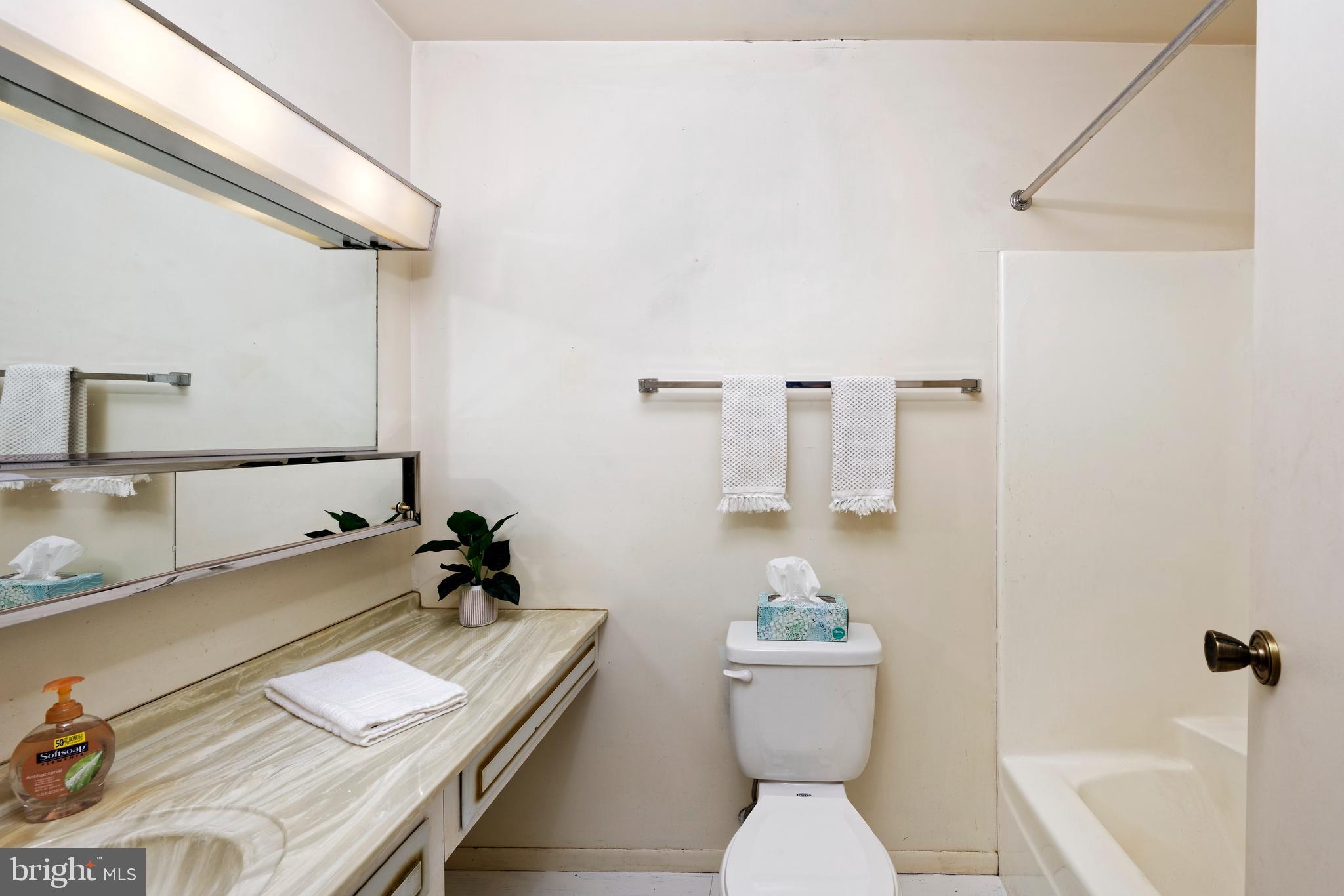 23281 Dover Road Middleburg, VA 20117 - Photo 19 of 65 Shared Full Bath in upper hallway with tub/shower