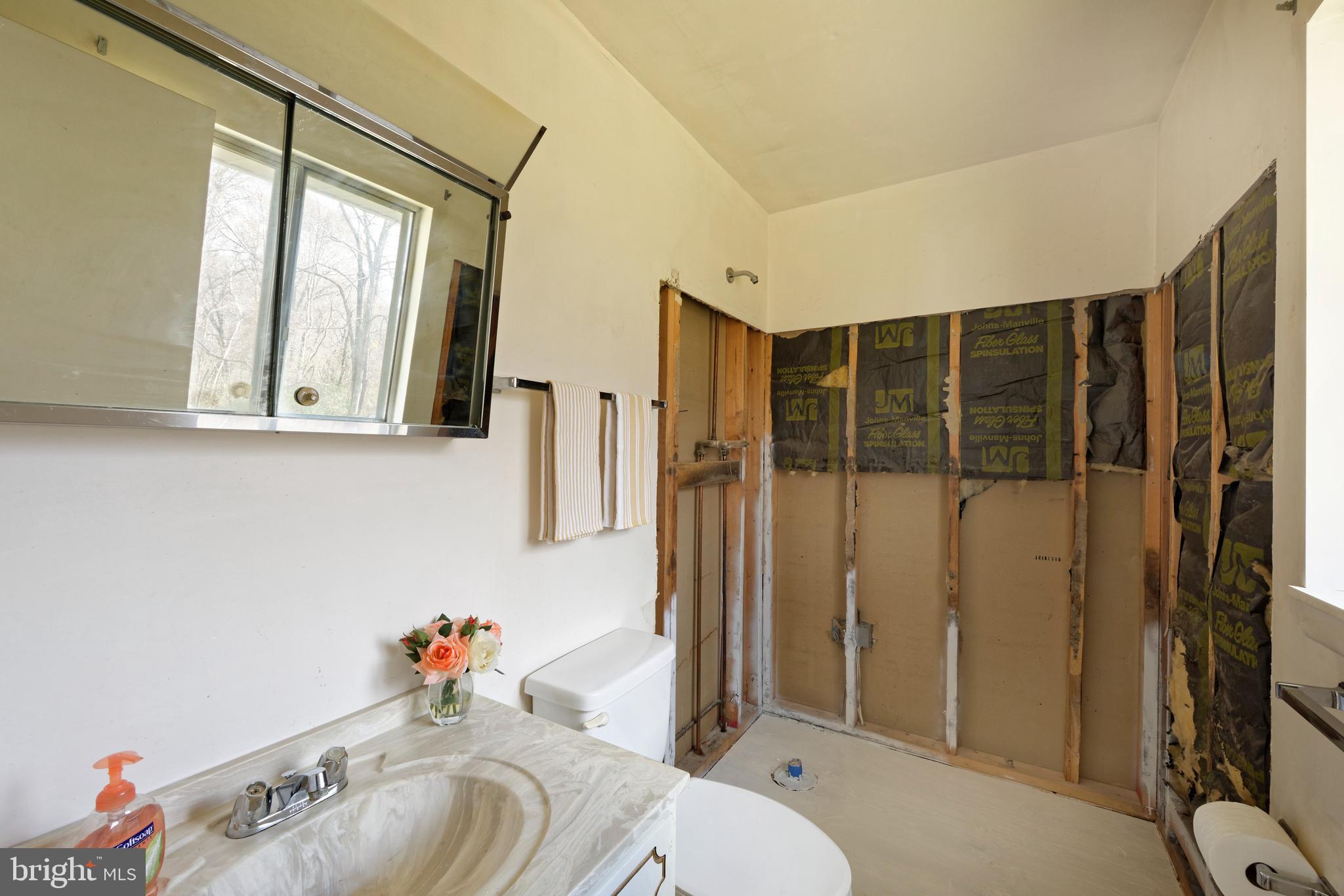 23281 Dover Road Middleburg, VA 20117 - Photo 25 of 65 Primary bathroom has shower in need of renovation