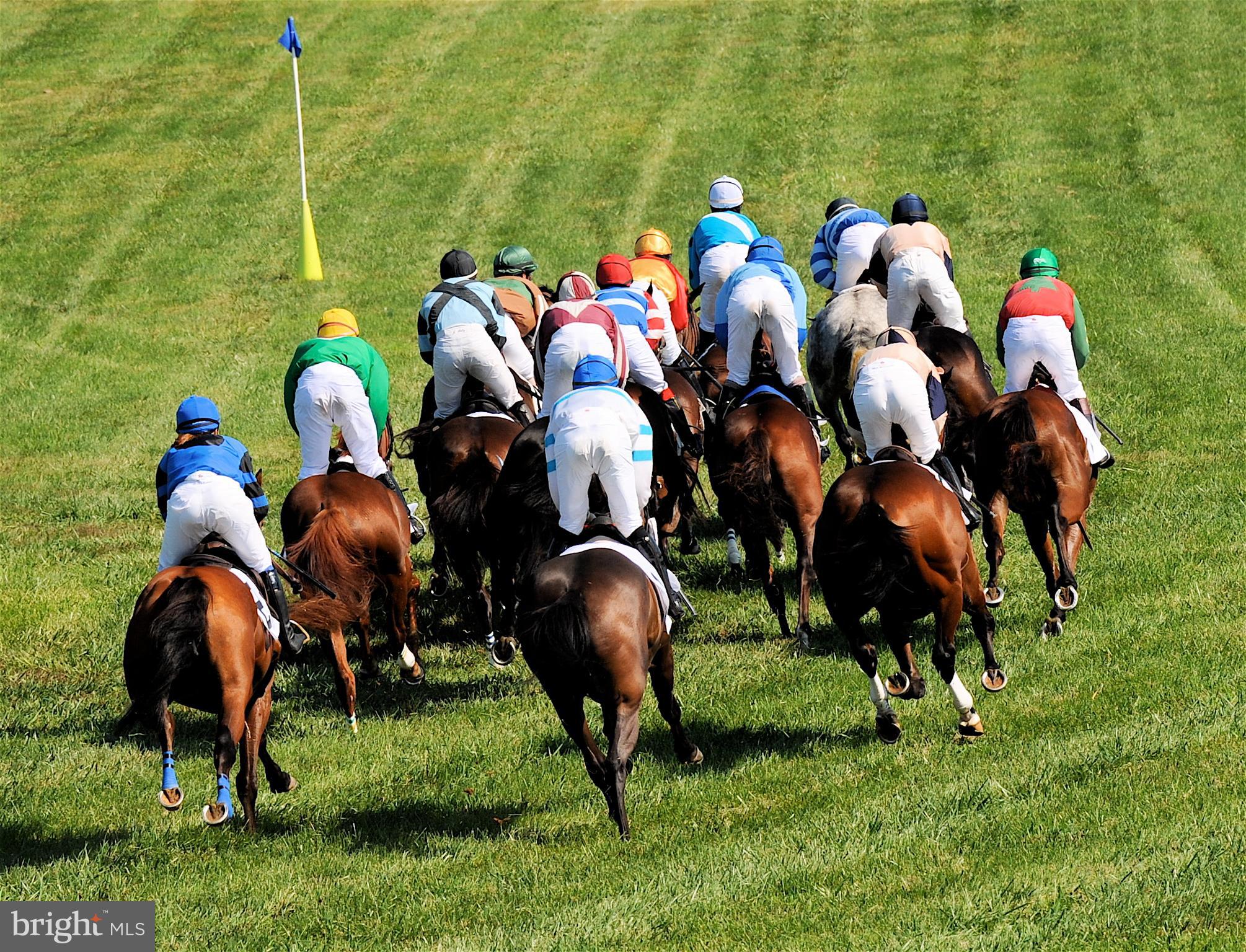 23281 Dover Road Middleburg, VA 20117 - Photo 63 of 65 The excitement of steeplechase racing!