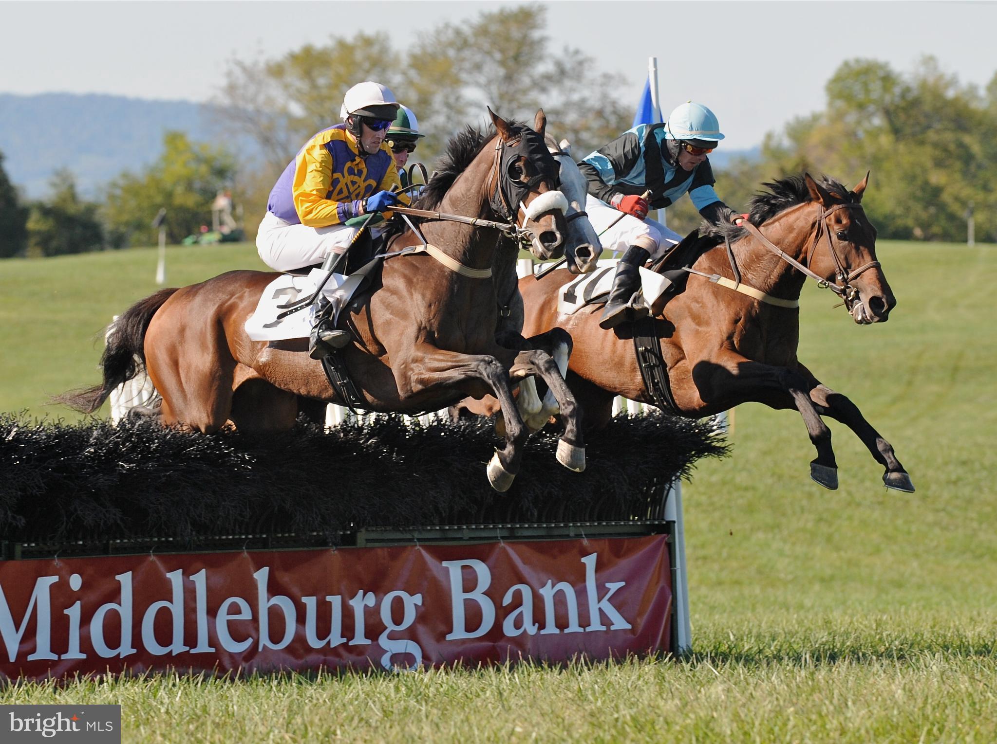 23281 Dover Road Middleburg, VA 20117 - Photo 64 of 65 Get close to the action at Glenwood Park!