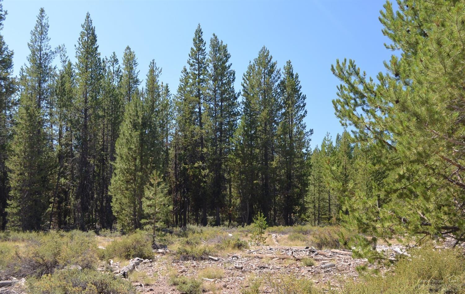 0 Bear Flat Road Chemult, OR 97731 - Photo 2 of 2 Gallery Image 2