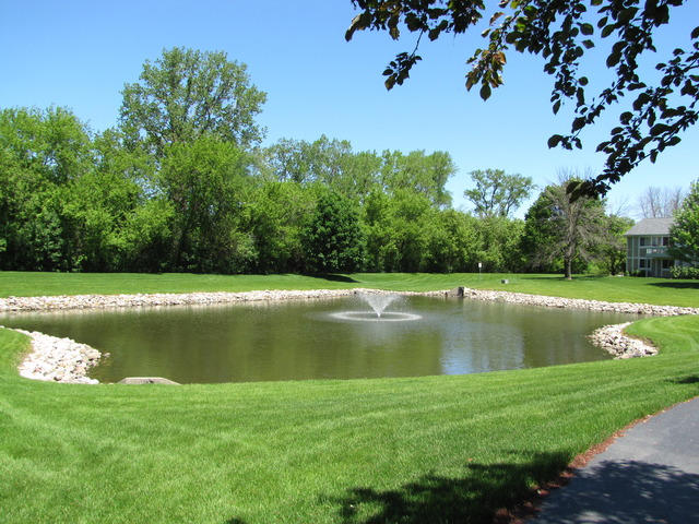 274 Appletree Court, Unit 274 Buffalo Grove, IL 60089 - Photo 2 of 15 a view of a lake with a big yard