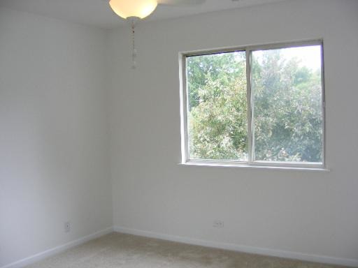 274 Appletree Court, Unit 274 Buffalo Grove, IL 60089 - Photo 11 of 15 an empty room with a window