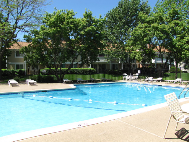 274 Appletree Court, Unit 274 Buffalo Grove, IL 60089 - Photo 14 of 15 a view of pool with lawn chairs and large trees