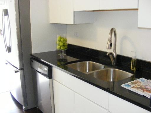 274 Appletree Court, Unit 274 Buffalo Grove, IL 60089 - Photo 9 of 15 a close view of sink and tap