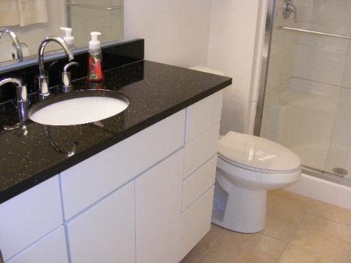 274 Appletree Court, Unit 274 Buffalo Grove, IL 60089 - Photo 10 of 15 a bathroom with a toilet sink and mirror