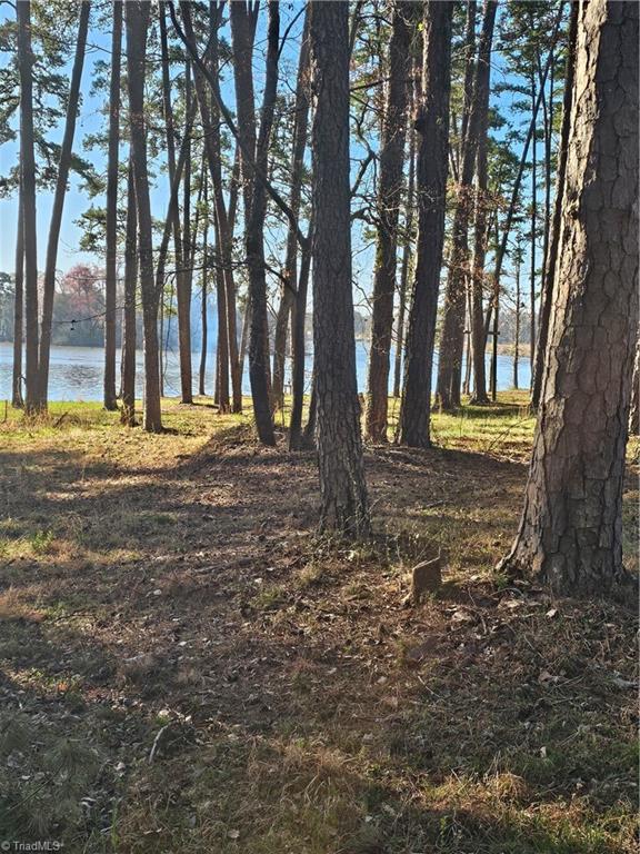 0 Rothrock Road Apex, NC 27523 - Photo 2 of 13