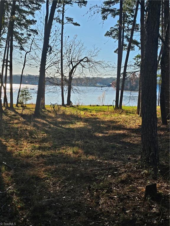 0 Rothrock Road Apex, NC 27523 - Photo 3 of 13