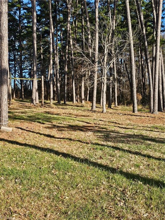 0 Rothrock Road Apex, NC 27523 - Photo 4 of 13