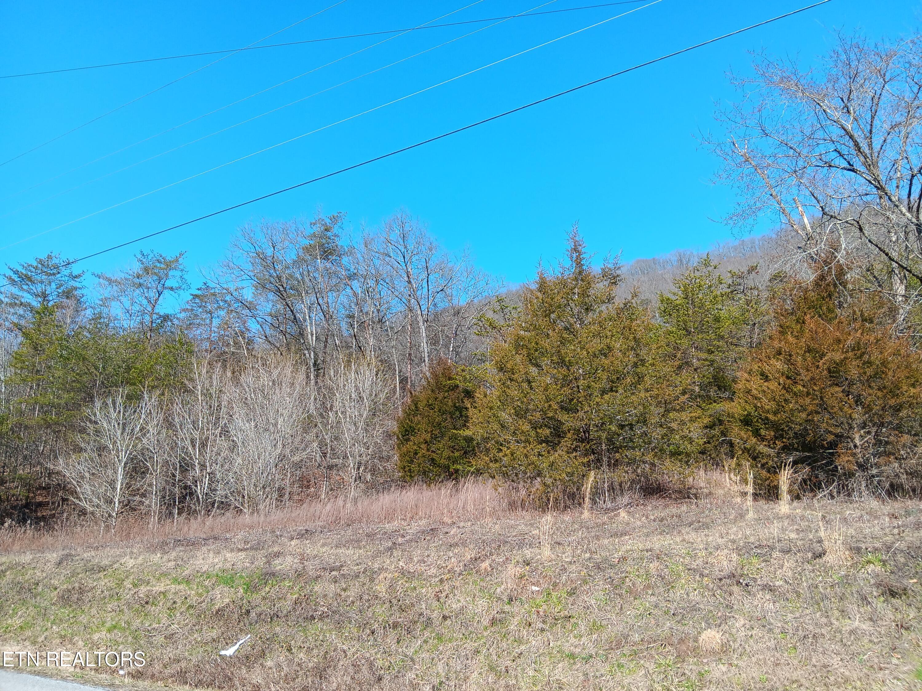 0 Cracker Neck Road Washburn, TN 37888 - Photo 10 of 19 20240225_103519