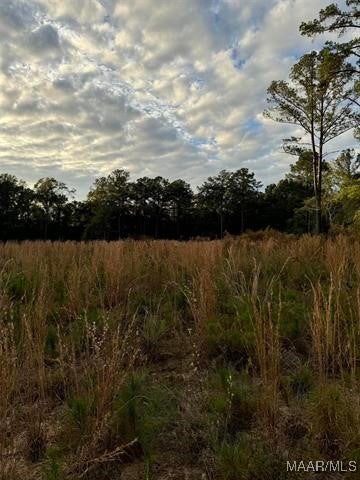 0 Meadow Lane Road, Unit LOT 32 Andalusia, AL 36421 - Photo 2 of 2 Gallery Image 2