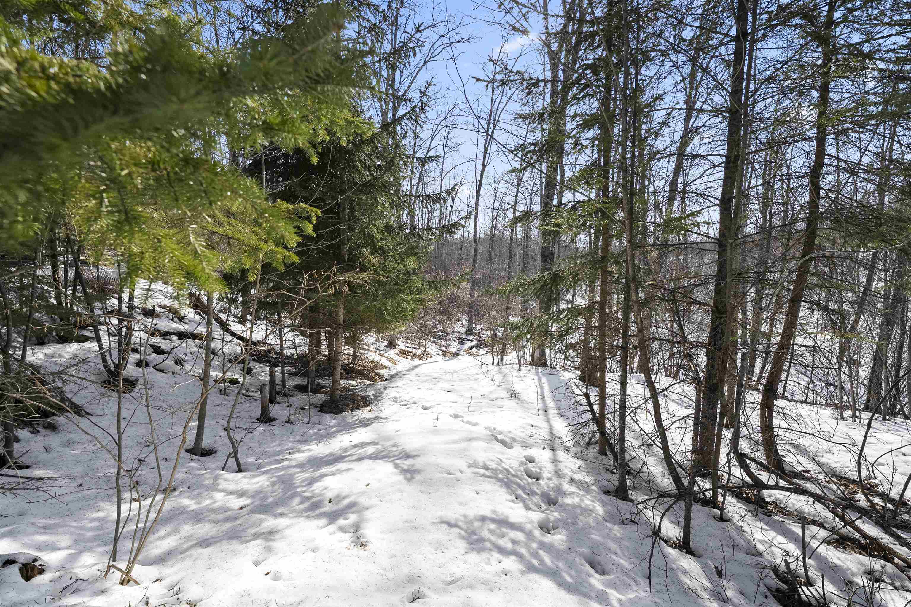 N12184 Long Lake Road Wausaukee, WI 54177 - Photo 51 of 56