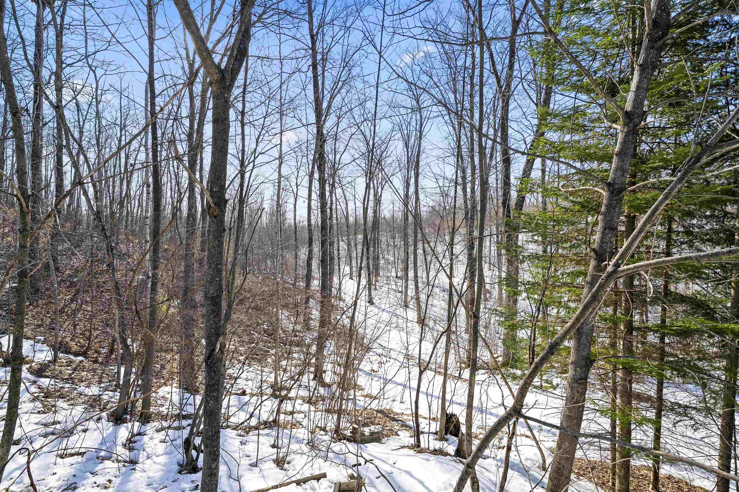 N12184 Long Lake Road Wausaukee, WI 54177 - Photo 52 of 56