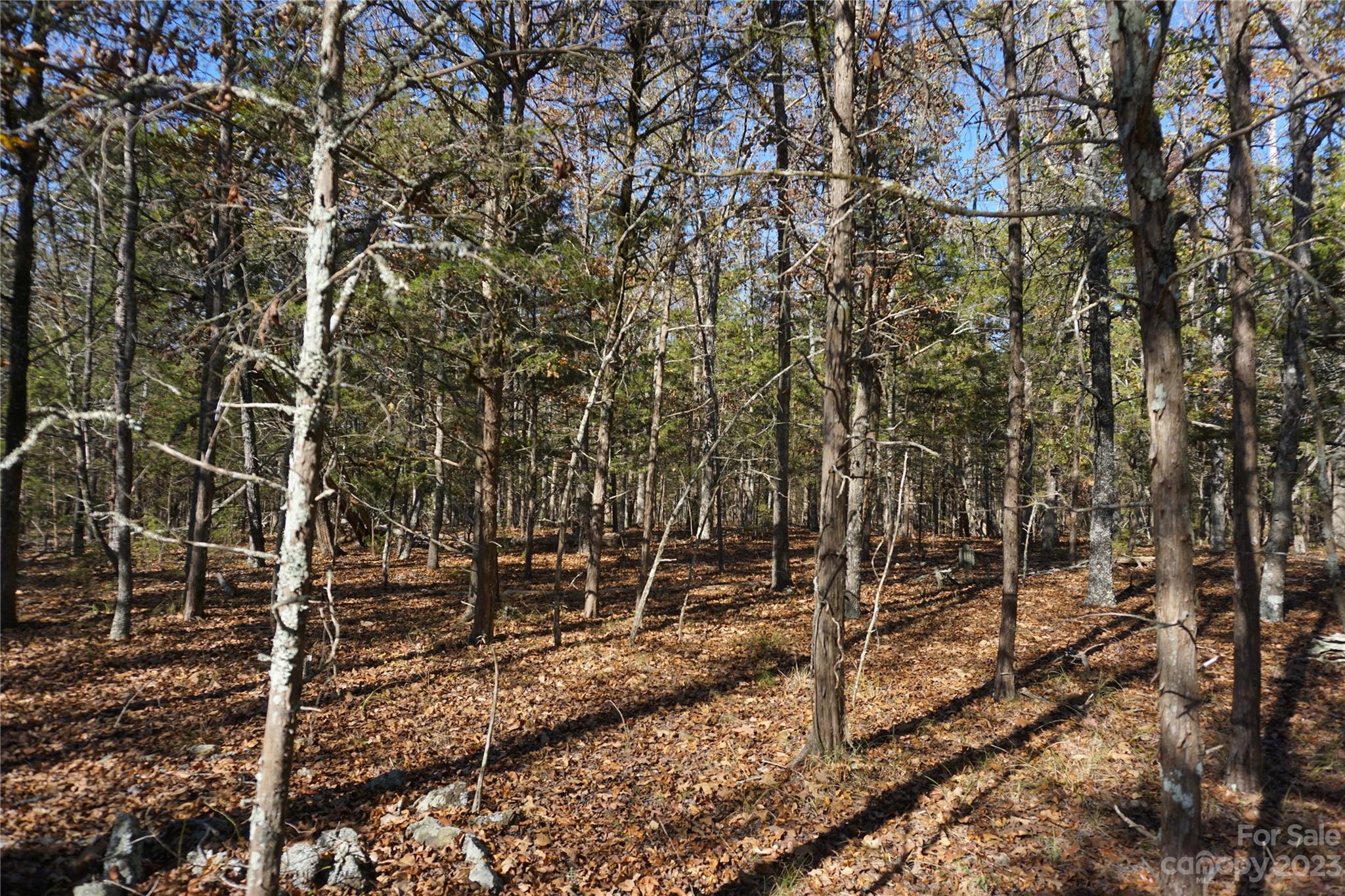 27-ac Bonner Horton Road Sharon, SC 29742 - Photo 12 of 26 a backyard of a house with lots of green space