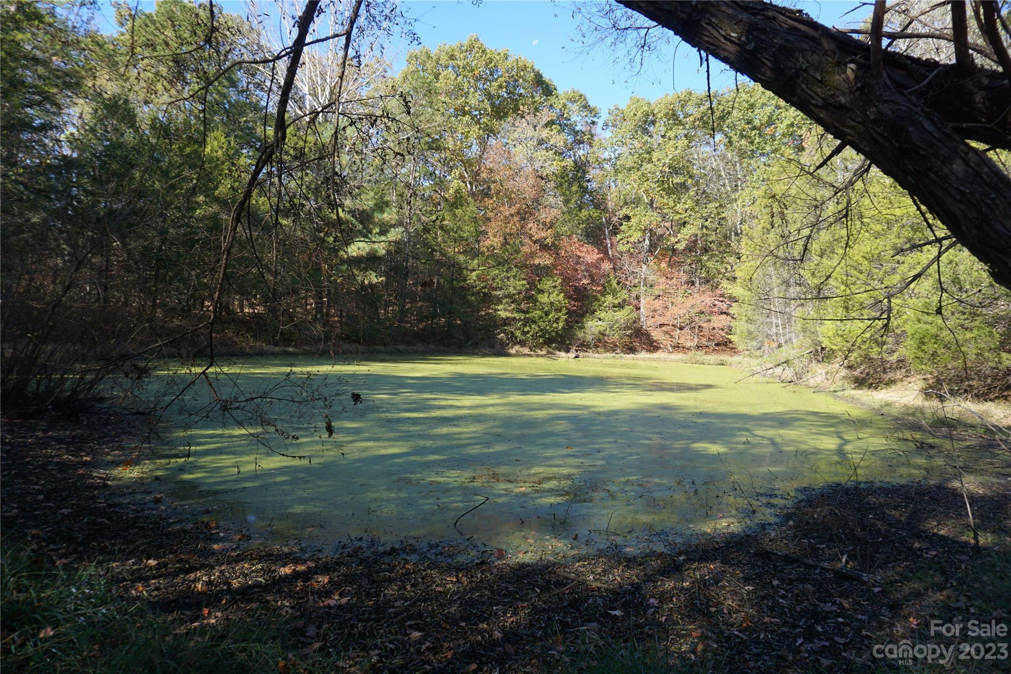 27-ac Bonner Horton Road Sharon, SC 29742 - Photo 20 of 26 a view of a golf course with a yard