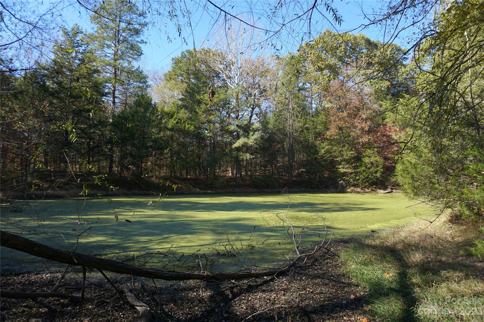 27-ac Bonner Horton Road Sharon, SC 29742 - Photo 3 of 26 a view of a play ground with large trees
