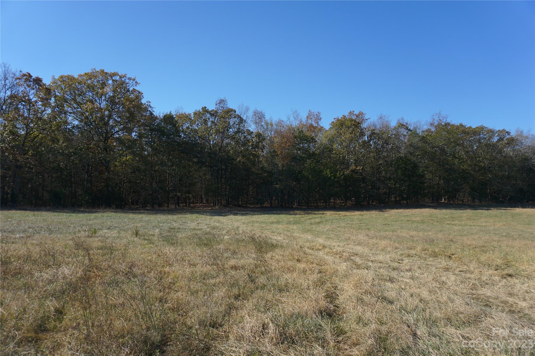 27-ac Bonner Horton Road Sharon, SC 29742 - Photo 5 of 26 a view of natural light