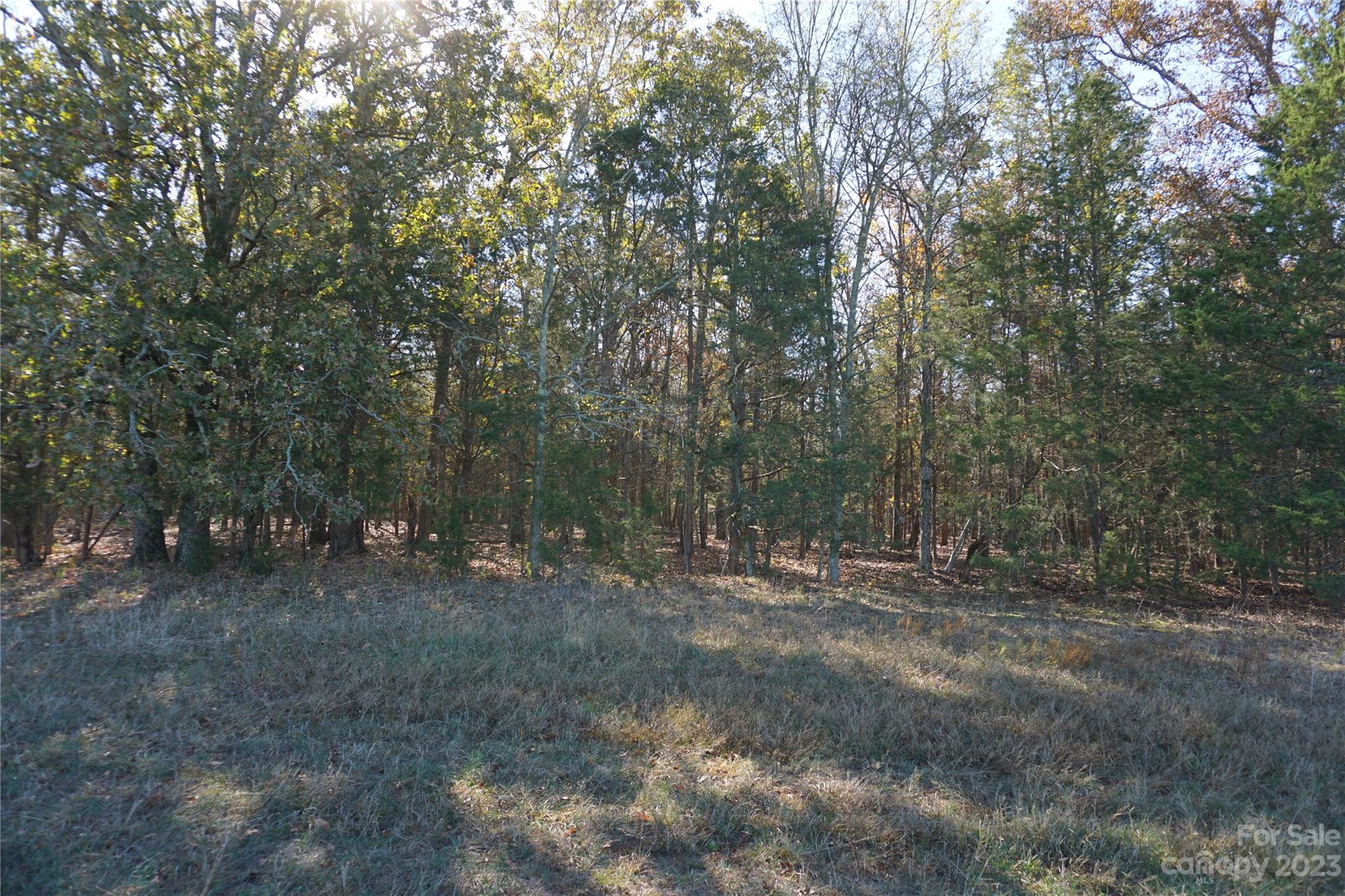 27-ac Bonner Horton Road Sharon, SC 29742 - Photo 7 of 26 a view of outdoor space with trees